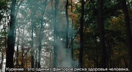 Профилактика табакокурения